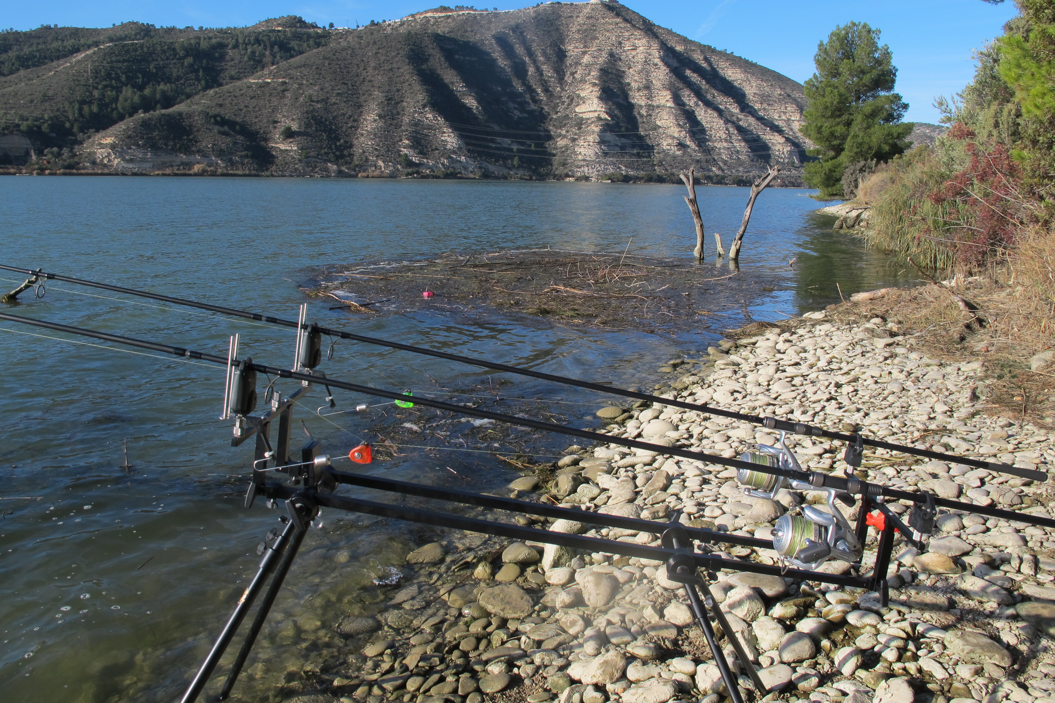 Filip`s Rod Pod 4er